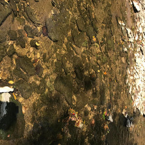 Meet your Posher, Ava